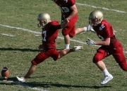 中国熊猫体育-福克斯冠军级表现难救主，森林狼火力全开压制独行侠